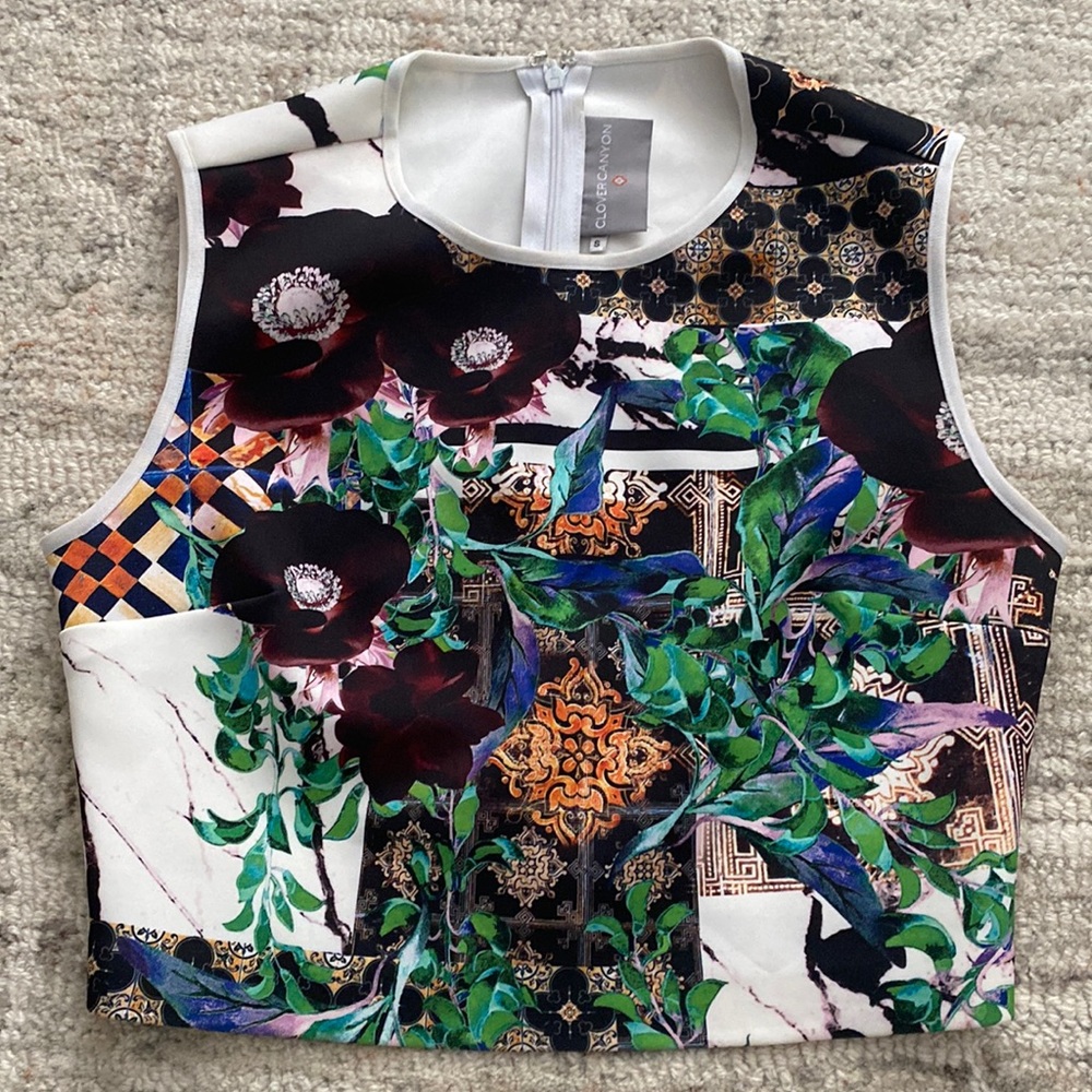 Clover canyon crop top